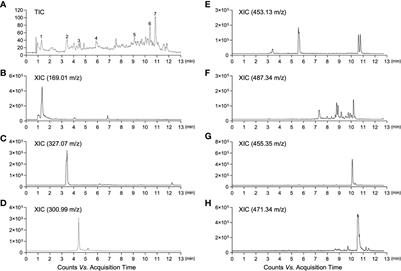 Dipterocarpus tuberculatus as a promising anti-obesity treatment in Lep knockout mice